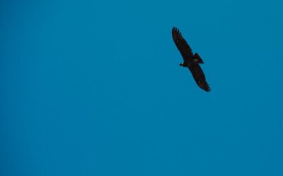 Ácido Hialurónico en Córdoba: Tu Guía Completa para Rejuvenecimiento Natural