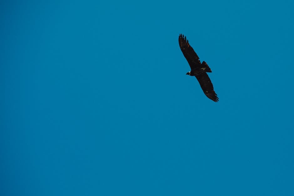 ácido hialurónico Córdoba